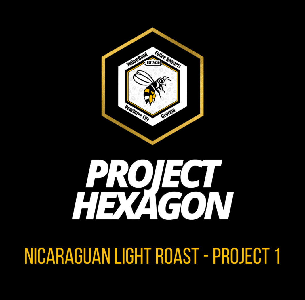 Nicaraguan Light Roast - Project 1